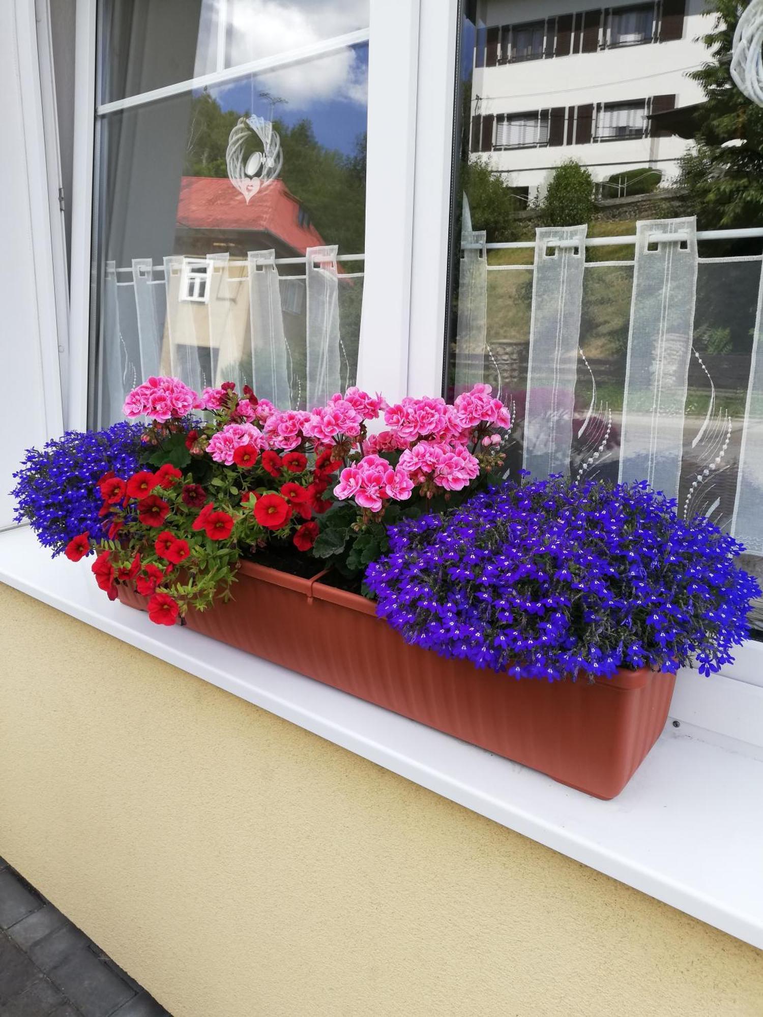 Pension Vila Hana Loket Exterior photo
